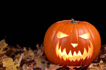 Orange Pumpkinの写真素材