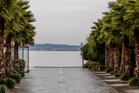 Glimpse of Lake Garda in Sirmione BS with very scenic palm trees on the sides.の写真素材