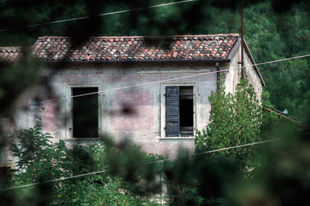 An abandoned building in the trees