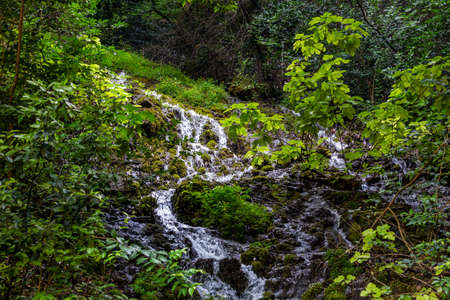 A waterfall in a forestの写真素材