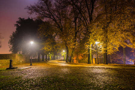 The colors of the walls of Lucca at nightの写真素材