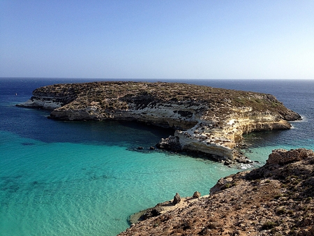 island of lampedusa rabbitsの写真素材