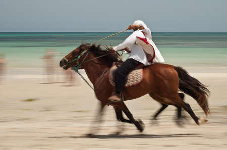 Horses exhibition at Djerba white beach with panning technique with blue sea on backgroundのeditorial素材