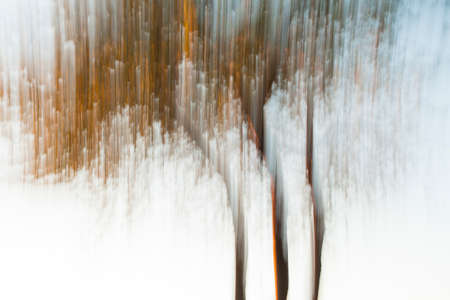 Artistic photography of a tree using the painting-effect, by long shutter speedの写真素材