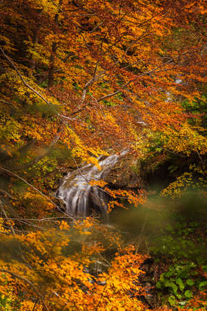 Beautiful view of Morricana Falls in the forest arounded by an autumn theme in Abruzzoの写真素材