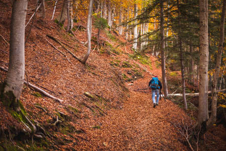The beautiful pathway to arrive to the Morricana Falls arounded by an autumn theme in Abruzzo, Italyの写真素材