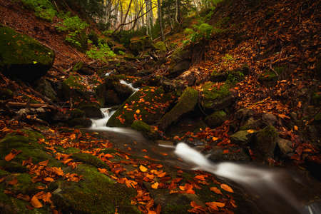 A view of some little falls in the forest somewhere in Bosco della Morricana, Abruzzo, Italyの写真素材
