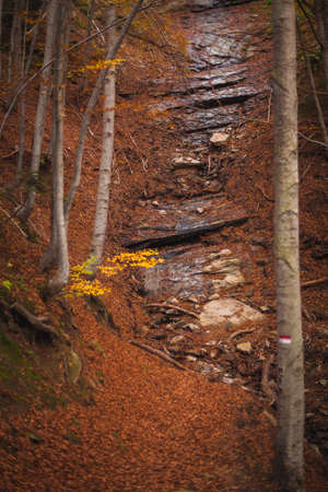 The beautiful pathway to arrive to the Morricana Falls arounded by an autumn theme in Abruzzo, Italyの写真素材