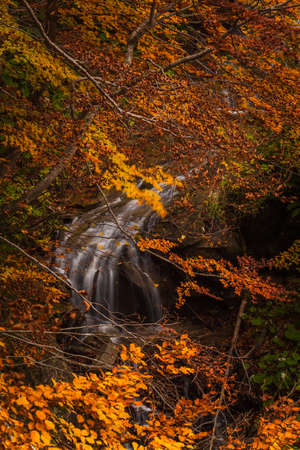 Beautiful view of Morricana Falls in the forest arounded by an autumn theme in Abruzzoの写真素材