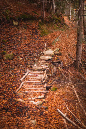 The beautiful pathway to arrive to the Morricana Falls arounded by an autumn theme in Abruzzo, Italyの写真素材