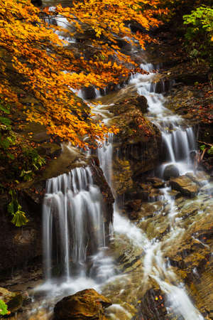 Beautiful view of Morricana Falls in the forest arounded by an autumn theme in Abruzzoの写真素材