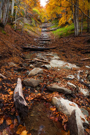 Beautiful view of Morricana Falls in the forest arounded by an autumn theme in Abruzzoの写真素材