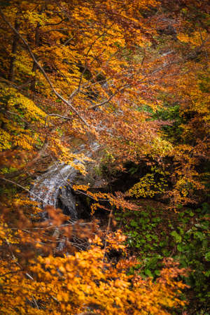 Beautiful view of Morricana Falls in the forest arounded by an autumn theme in Abruzzoの写真素材