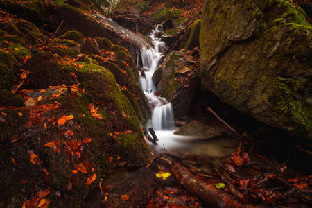A view of some little falls in the forest somewhere in Bosco della Morricana, Abruzzo, Italyの写真素材