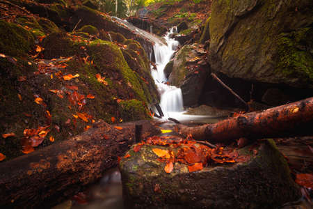 A view of some little falls in the forest somewhere in Bosco della Morricana, Abruzzo, Italyの写真素材