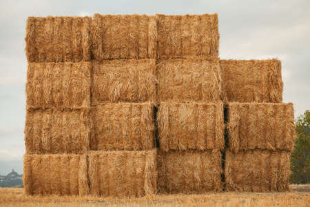 Squared bal of hay in field of Val d'Orcia, Tuscany