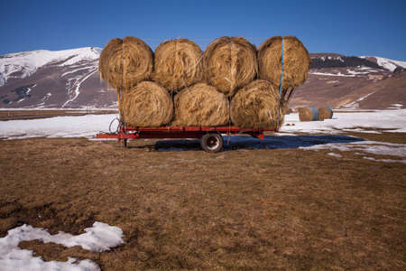 Some hay bales in the snow in Pian grande and Mount Vettore in the background, Castelluccio di...