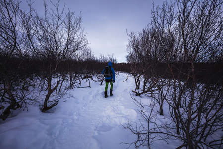 A man is taking walk the pathway to BrÃºarÃ¡rfoss, Iceland, North Atlantic Oceanの写真素材