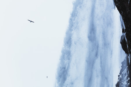 Some birds are flying near a waterfall, Iceland, North Atlantic Oceanの写真素材