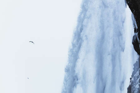 Some birds are flying near a waterfall, Iceland, North Atlantic Ocean