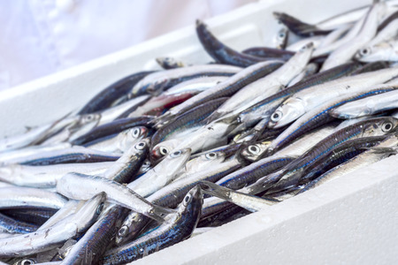 fresh fish on plateの写真素材