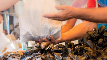fresh mussels at the fish shopの写真素材