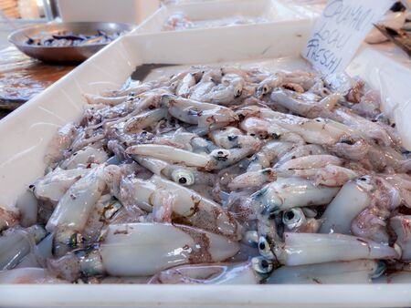 fresh Fish on the fishpond benchの写真素材