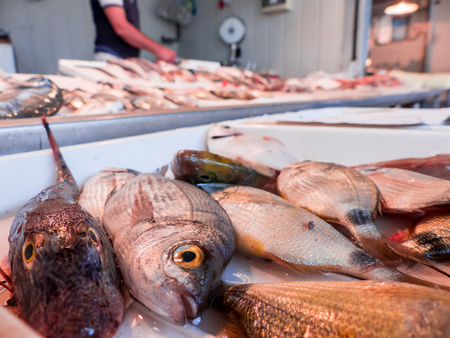 fresh Fish on the fishpond benchの写真素材