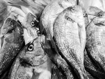 fresh Fish on the fishpond benchの写真素材