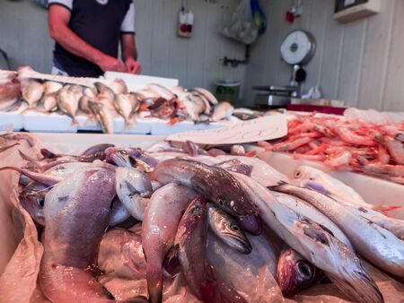 fresh Fish on the fishpond benchの写真素材