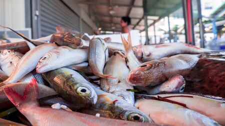 fresh Fish on the fishpond benchの写真素材