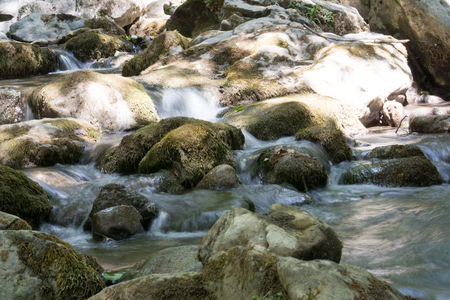 A creek in the woods with the water flowing between the stonesの写真素材