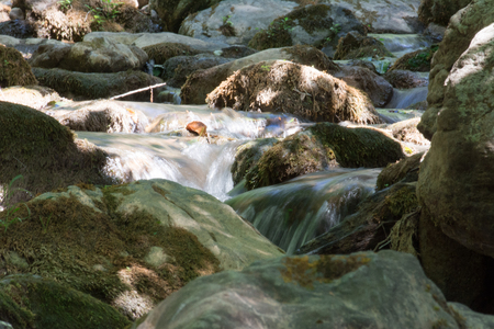 a creek in the woods with the water slipping between the stonesの写真素材