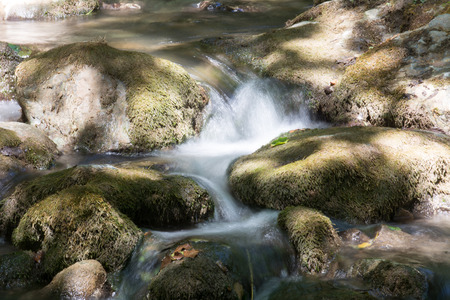 a creek in the woods with the water slipping between the stonesの写真素材