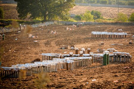 preparatives for fireworks in the city of Locorotondo, in the south of italy, during kthe celebrations of saint roccoの写真素材