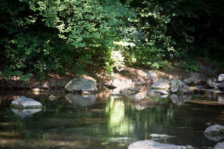 a creek in the woods in the south of italyの写真素材