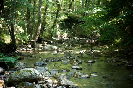 a creek in the woods in the south of italyの写真素材