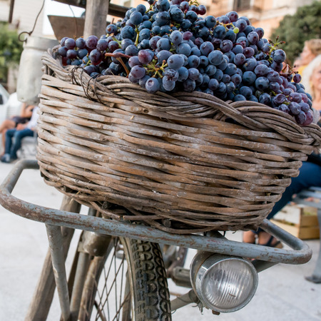 basket full of black grapes mounted on a bicycleの写真素材