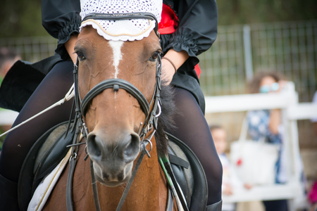 rider riding a horse standing by before a competitionの写真素材