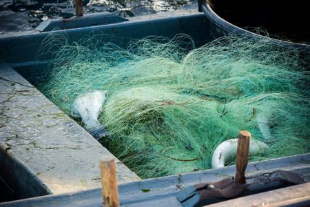 two fish in a fishnet on a boatの写真素材