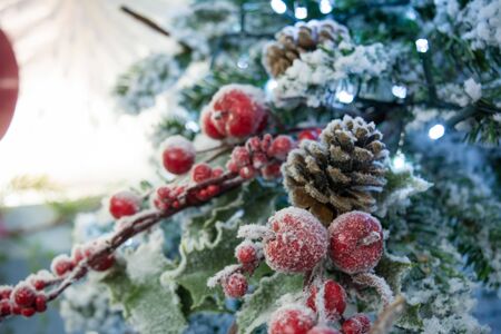 Close Up Of Christmas Snowy Tree  Decoration On White Backgroundの写真素材