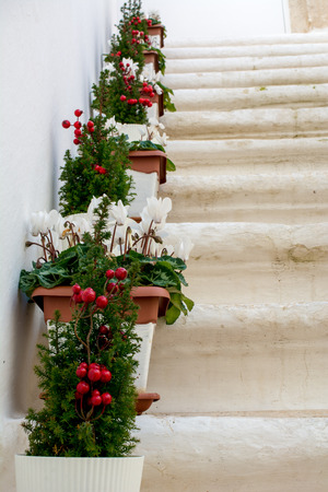 Vertical View of Close Up of Stone Stairs Decorated With Flowered Terracotta Pots. Locorotondo, South of Italyの写真素材