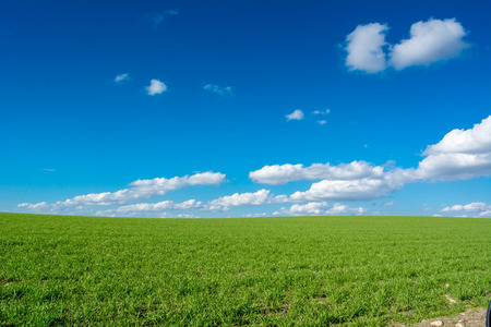 Horizontal View of a Countryside Landscape With a Green Meadow in a Sunny Day on Cloudy Sky...