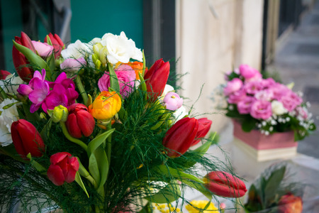 Horizontl View of Composition of Flowers on Blur Backgroundの写真素材