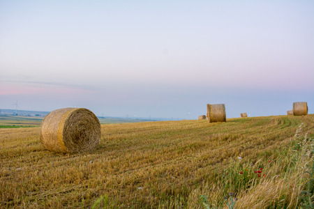 Horizontal View of Bale ol Hay in the Countryside at Sunset on Clear Sky Background. Matera, South...