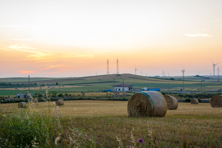 Horizontal View of Bale ol Hay in the Countryside at Sunset on Clear Sky Background. Matera, South...