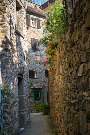 Vertical View of Alley in the Town of Riomaggiore. Italy, National Park of the Cinque Terreの写真素材