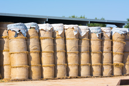 Group of Bales of Hay in a Stable on Blur Background. Italy