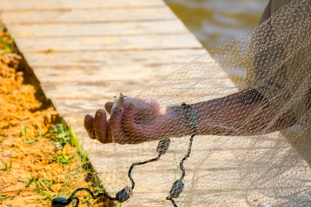 Hands which Collect Small Fish Captured by a Fishnet on Blur Backgroundの写真素材