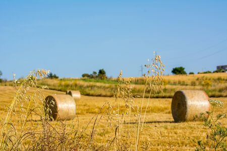 Hay Bales in the Countryside near Rome on Clear Bly Sky Background in July. Italyの写真素材